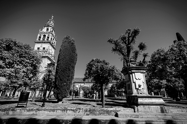 Foto: Rafael Badía